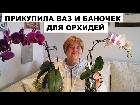 Видео: ПРИКУПИЛА ДЛЯ ОРХИДЕЙ ВАЗОЧЕК И БАНОЧЕК..ПОСАДИЛА КАРТОШКУ