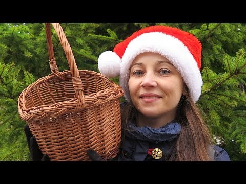 Видео: Грибы в Подмосковье - Открыли грибной сезон в Январе, собираем в лесу зимние съедобные грибы