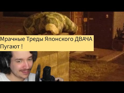 Видео: ElvisBit смотрит видео | Мрачные Треды Японского ДВАЧА канал заратустра