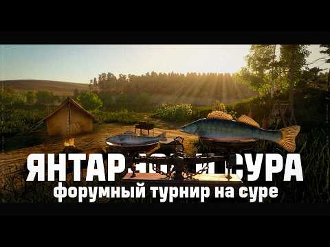 Видео: ЯНТАРНОЕ ОЗЕРО • РЕКА СУРА • Русская Рыбалка 4