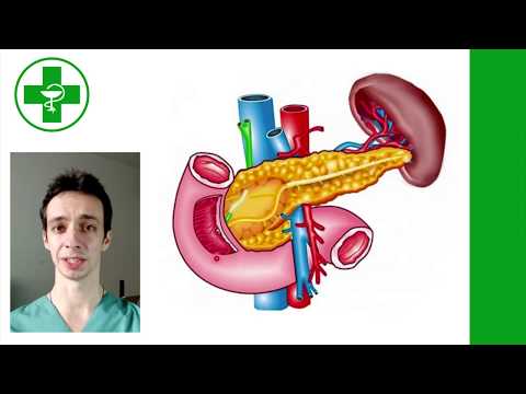 Видео: НЕДОСТАТОЧНОСТЬ ФЕРМЕНТОВ ПОДЖЕЛУДОЧНОЙ ЖЕЛЕЗЫ: причины и лечение.