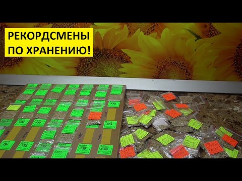 Видео: Как хранить семена томатов? Сколько лет?