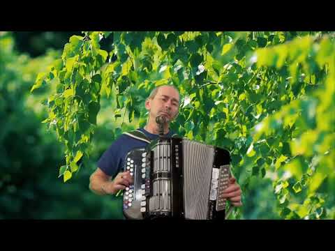 Видео: #гармонь#продажа_гармони#купить_гармонь