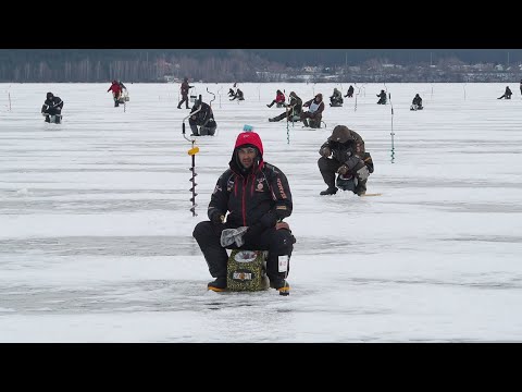 Видео: Мормышка.Чемпионат Липецкой обл. Телевидеопередача "Мёрзлый мотыль"