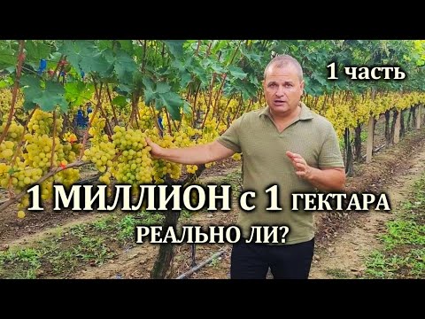 Видео: 1 МИЛЛИОН С 1 ГА РЕАЛЬНО ЛИ ЭТО? ПОДРОБНЫЙ ОБЗОР ТЕХНОЛОГИИ.