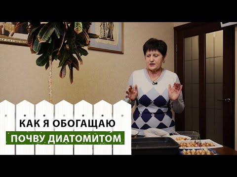 Видео: Диатомит 4 в 1: дренаж, грунт, мульча и кремниевое удобрение