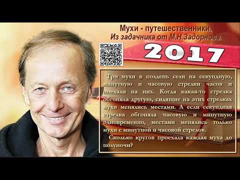 Видео: Мухи-путешественники. Из задачника от М.H. Задорнова.