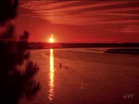 Видео: ПТИЦЫ (А.Макарский)