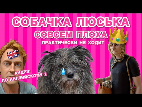 Видео: Люсиндра дрожит от вида Серожии. Андрэ English nicht verstehen. 