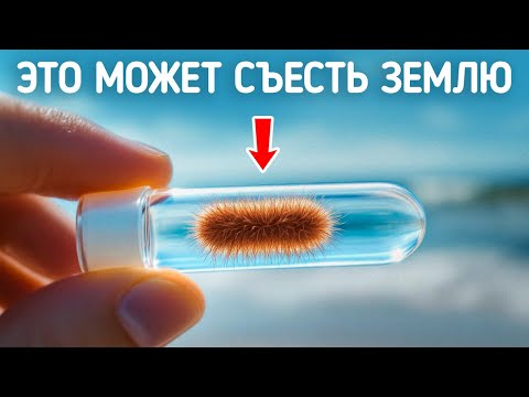 Видео: Эксперименты, которые могли бы привести к концу света