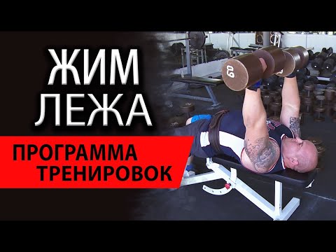 Видео: Программа тренировок по жиму лежа | от Романа Землякова