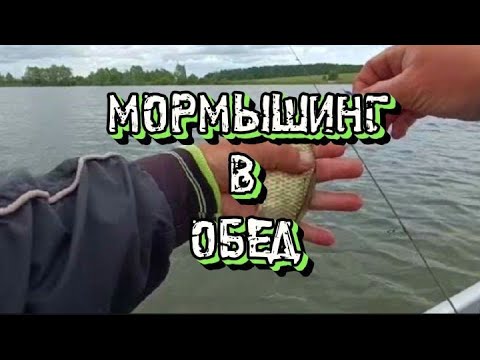 Видео: Мормышинг в обед