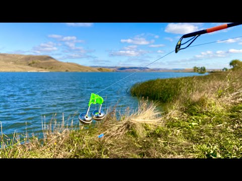 Видео: Сазаны один за другим. Отличная рыбалка на донки осенью 2025.