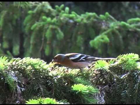 Видео: Светът и всичко в него със СИМЕОН ИДАКИЕВ (14.04.2013г. 2-ра част)