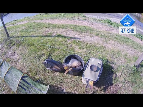 Видео: Рыбалка(КМВ). Ставропольский край. Завершаю сезон по КАРПУ🎣БЕШЕННЫЙ КЛЁВ 🤯🔥🔥МОНСТРЫ НА УДОЧКУ 😱🐟🦈