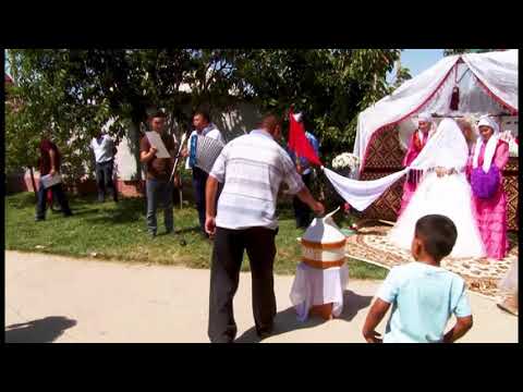 Видео: Багзат беташар