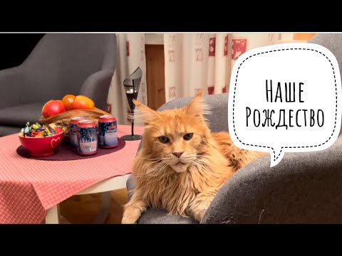 Видео: Как я отношусь к Рождеству и почему?