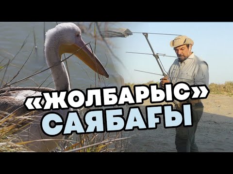 Видео: Іле-Балқаш табиғи резерваты. Жолбарыс саябағы | Outdoor Central Asia