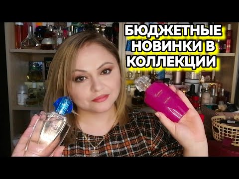 Видео: НАКУПИЛА БЮДЖЕТНОЙ ПАРФЮМЕРИИ С WILDBERRIES🙈ОТВЕТЫ НА КОММЕНТАРИИ🥰