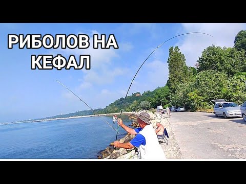 Видео: Риболов на черноморски кефал, илария на дъно със стръв -  морски червей! Четвърта буна град Варна!