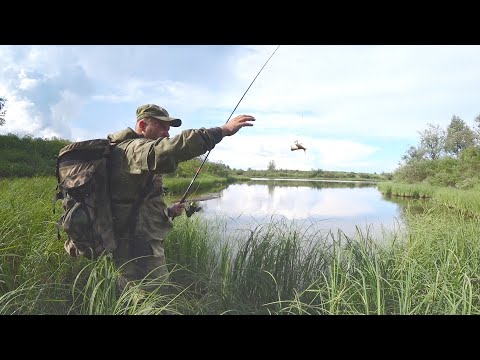 Видео: РЫБАЛКА НА ЛЕСНОМ ОЗЕРЕ. ЛОВЛЯ ЩУК И ОКУНЕЙ НА СПИННИНГ.