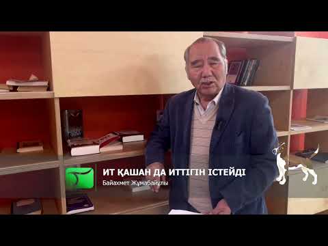 Видео: Ит және ит мінезді адам | Байахмет Жұмабайұлы | Тепсең сайты