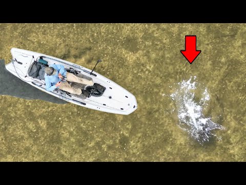 Видео: ГИГАНТЫ поверхностных рыбных ловель используют дрон!?!