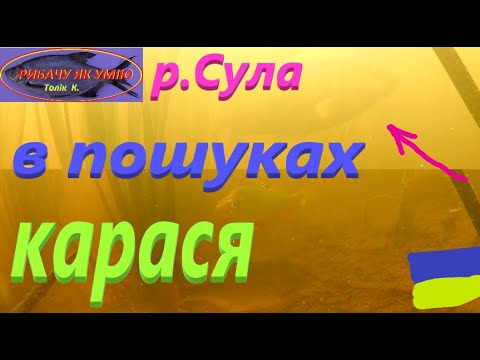 Видео: #СУЛА # В пошуках КАРАСЯ #РибачуЯкУмію