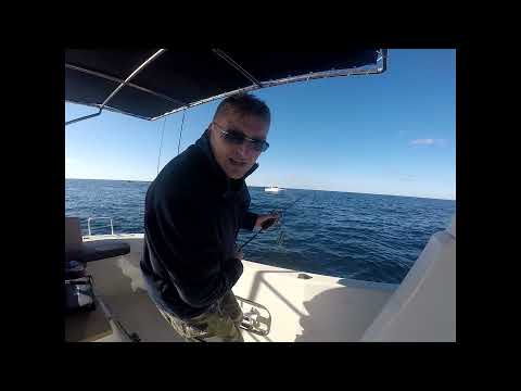 Видео: Закрытие сезона ловли трески