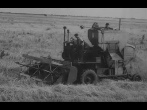 Видео: Киножурнал Советский Казахстан 1952 г №34 и №23 1960 г Фёдоровский совхоз Кустанайская область