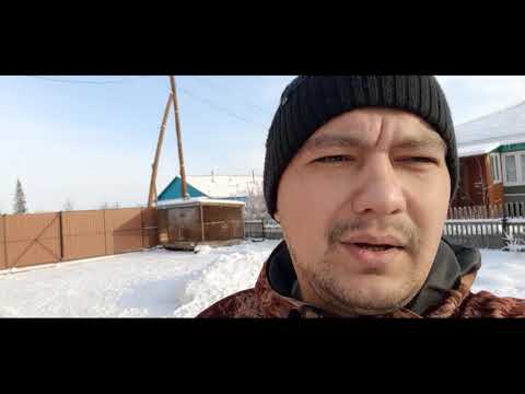 Видео: Купили хаски
