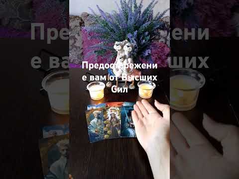 Видео: Предостережение вам от Высших Сил вам 🙏💯🧐#таро #егочувства #tarofortune