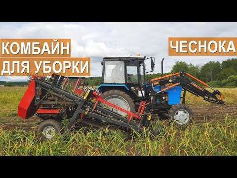 Видео: Уборка чеснока. Работа ботвоотделяющего чеснокоуборочного комбайна BROCH. КФХ Игоря Дмитриева