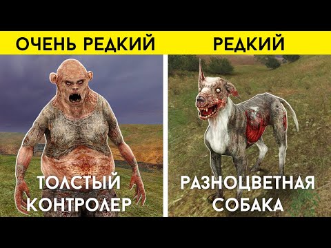 Видео: 7 САМЫХ РЕДКИХ монстров - Тень Чернобыля