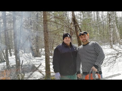 Видео: Масло для бензопилы