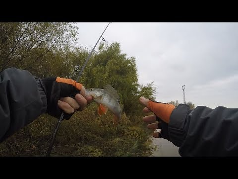 Видео: Окунь на микроджиг. Спиннинг Tict Sram JSR-610SS до 2.5 грм.