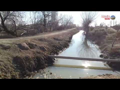 Видео: Туған елге сапар.                                     4 - Бөлім. 8/03/2023.