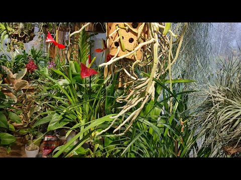 Видео: Развлечения в непогоду, оазис Совиного Дола и ослепительный вечер 