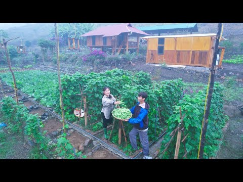 Видео: 4 года жизни в УСТОЙЧИВОМ лесу! Заготовка, продажа, строительство, сад, аквакультура