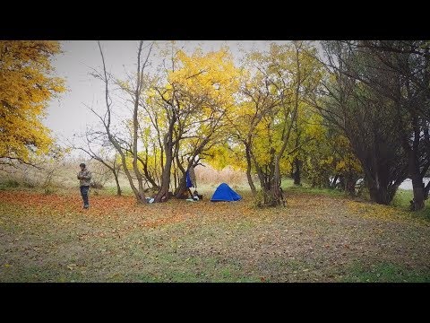 Видео: Рыбалка с ночёвкой на две ночи осенью. Наловил щук и судаков. Перемены погоды. Донка.