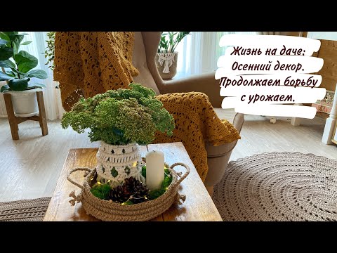 Видео: Жизнь на даче: Осенний декор. Продолжаем борьбу с урожаем.