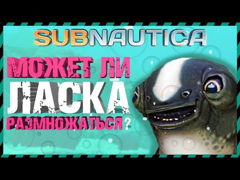 Видео: Subnautica МОЖЕТ ЛИ ЛАСКА РАЗМНОЖАТЬСЯ?