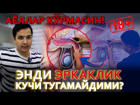 Видео: ИМПОТЕНТЛИК, ТЕЗ БЎШАНИШ ВА ВИАГРА ФОЖЕАСИ. ДАВО БОРМИ? Tel: +99 878 140 00 44