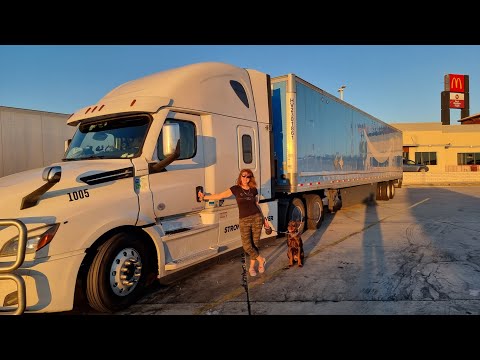 Видео: ТРИ НЕДЕЛИ РАБОТЫ НА ТРАКЕ В США. СЕМЕЙНЫЙ TEAM.