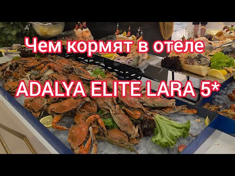 Видео: ЧЕМ КОРМЯТ В ОТЕЛЕ  ADALYA ELITE LARA 5*