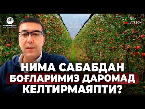 Видео: 10 ЙИЛДАН БУЁН ЎЗИНИ ОҚЛАМАЁТГАН БОҒ ҚИССАСИ! | ШУҲРАТ АБРОРОВ #shuhratabrorov #bog #olma #meva #uzb