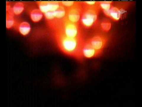 Видео: Дельфин в программе Детали, 2004