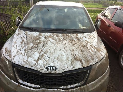 Видео: Чистим грязь под жабо kia rio 2012 года!