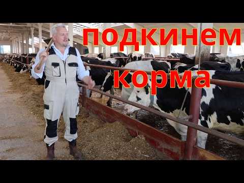 Видео: Прощай лопата! кормление стада за считанные минуты : как PAN MIX облегчает работу