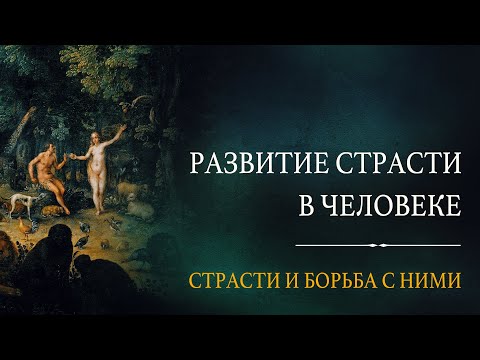 Видео: Развитие страсти в человеке